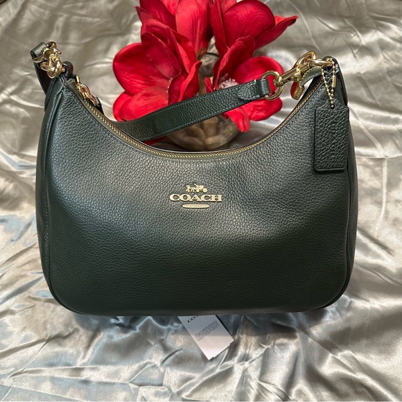 SOLD🌹Coach Teri Hobo • LIMITED EDITION Pebbled Leather WINTER GREEN Shoulder Bag - Picture 2 of 15